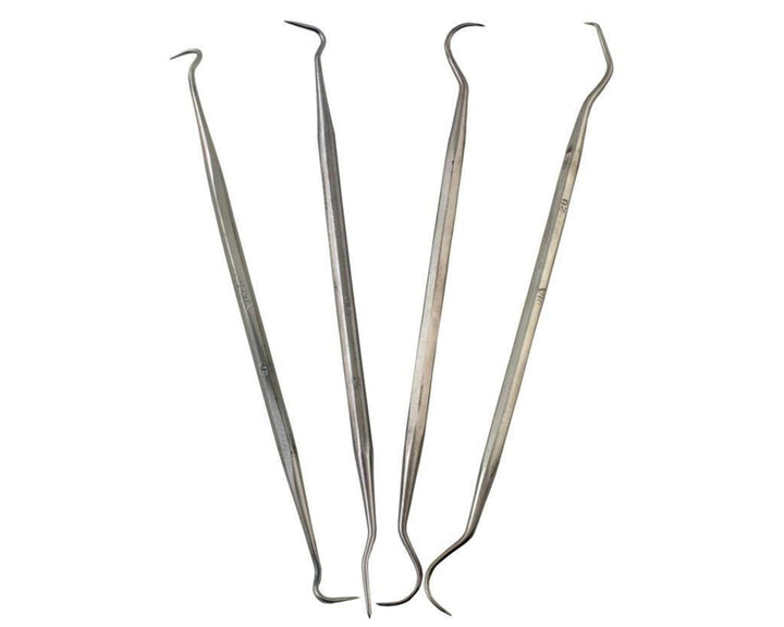 Enkay Stainless Steel Double-End Dental Pick Set (4)