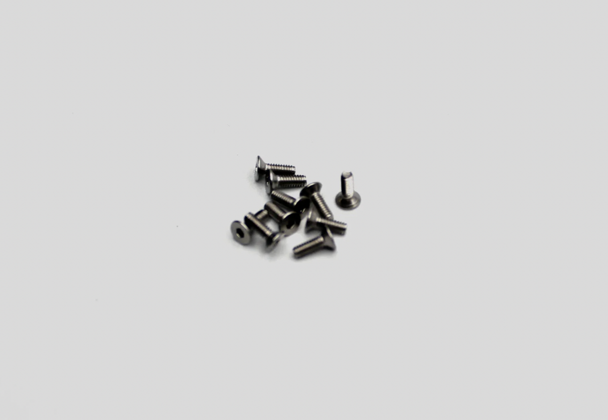 Reflex Racing RX28 M2x6 CS Head Screws (10pcs) (RX28-047)