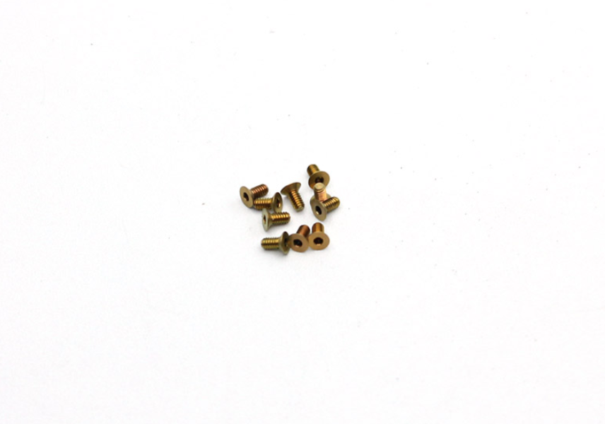 Reflex Racing Titanium M2x4 CS Screws (10pcs)