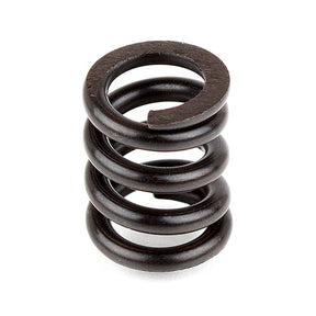 Associated B44 Slipper Spring - Iron City RC Hobbies