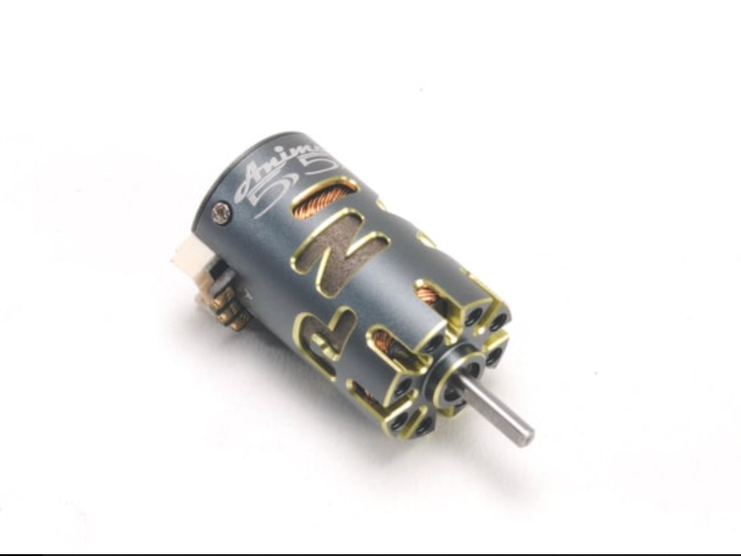 PN Racing Anima 5500kv Sensored Brushless Motor - Iron City RC Hobbies