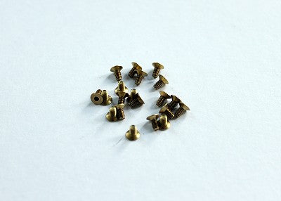 Reflex Racing Brass Screw Kit (20 pccs M2x4) Reflex Racing